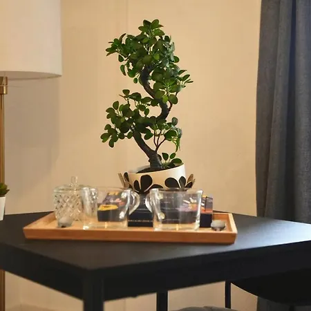 Le Temple Du Calme Apartment *